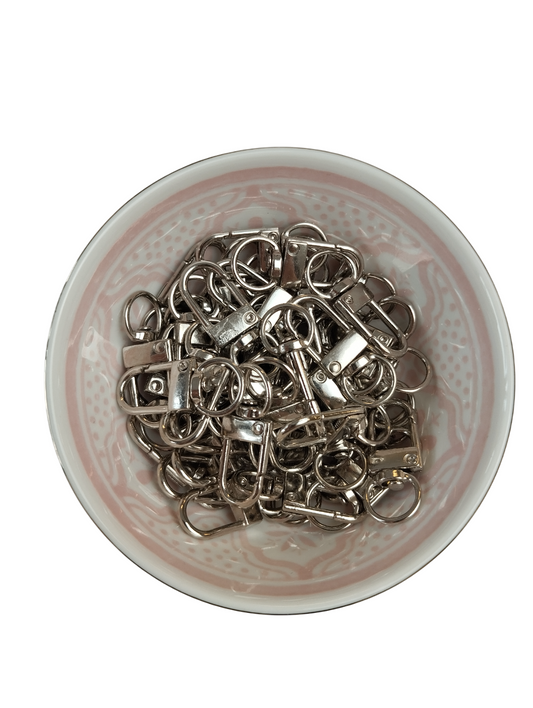 Kreeft Sluiting Zilver