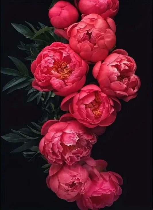 Bloemen - Pioenrozen - Volledig - Ronde steentjes - 30x40cm