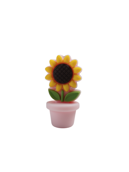 Figuurkraal Bloemen in pot
